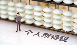 如何在網(wǎng)上打印個人所得稅納稅記錄？