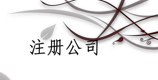 注冊(cè)公司為什么推薦找代理注冊(cè)公司的機(jī)構(gòu)呢？