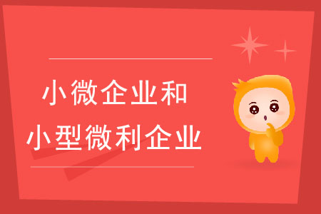 小微企業(yè)和小型微利企業(yè)有什么區(qū)別？