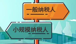 注冊(cè)公司是選擇一般納稅人還是小規(guī)模納稅人？