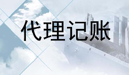 深圳的代賬公司的會(huì)計(jì)是不是專業(yè)的？